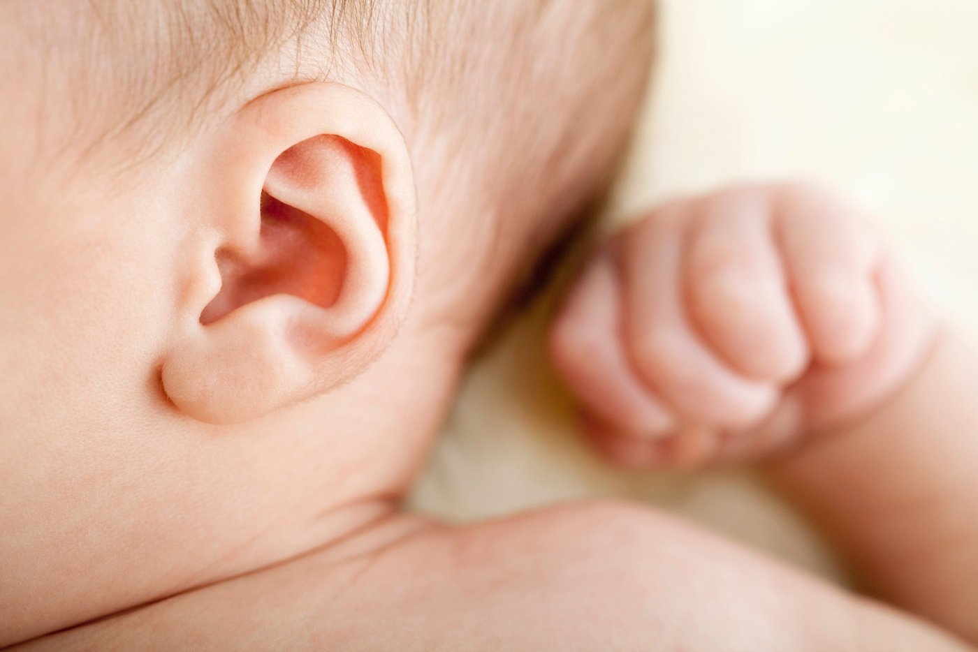 Baby's ear